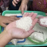 10-perusahaan-beras-dipanggil-bareskrim-terkait-beras-oplosan-siapa-saja-wjq