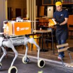 Robot Delivery Dogs