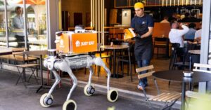 Robot Delivery Dogs