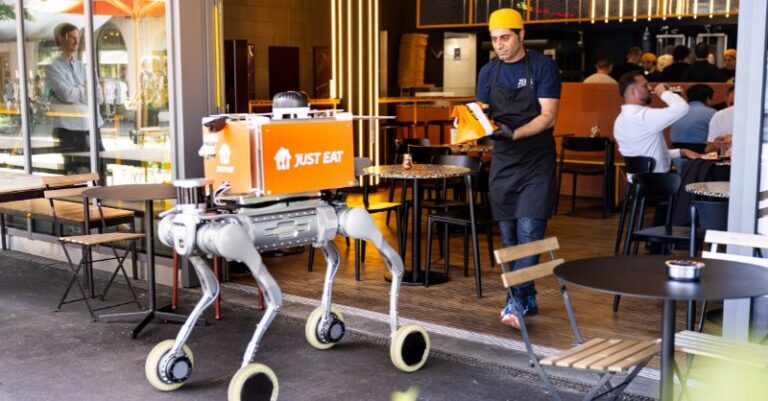 Robot Delivery Dogs