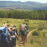 traveling